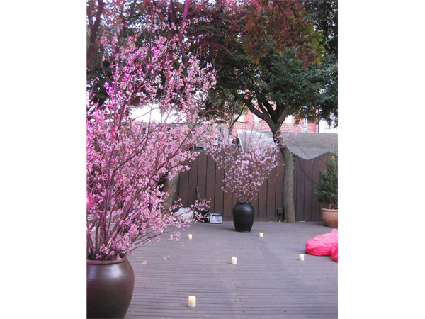 六本木レストラン 桜装飾