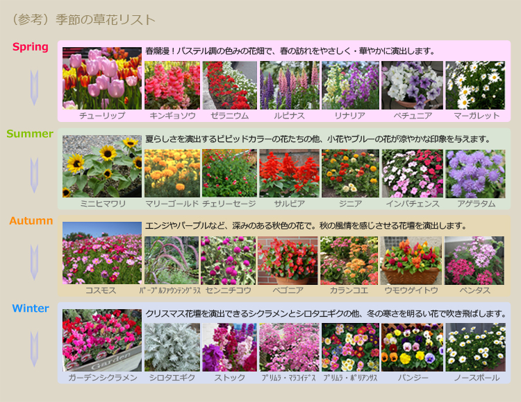 （参考）季節の草花リスト