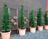 広島県 大型商業施設 外壁 草花プランター 設置
