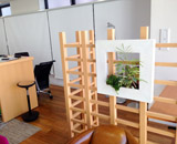 京橋 八重洲 エリア オフィス 壁掛け 観葉植物 インテリア