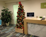 株式会社ウフル オフィス レンタル 観葉植物 クリスマスツリー