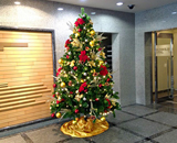 16 都内 横浜 オフィスビル クリスマスツリー