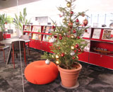 16 東京スクエアガーデン オフィス クリスマスツリー