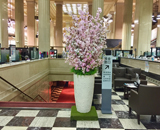 17 中央区 銀行 エントランス 桜装飾 ミニ アレンジメント