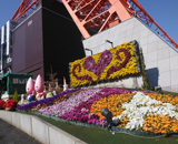 17 東京タワー 壁面 花壇 ハートマーク お手入れ