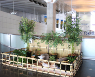 17 晴海 晴海客船 ターミナル 造花装飾 日本庭園