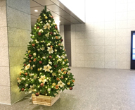 17 渋谷 日本橋 都内各地 オフィスビル エントランス クリスマツリー