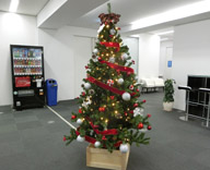 17 大阪 オオサカガーデンシティ オフィスビル クリスマスツリー