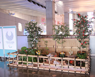 17 晴海 東京港埠頭 晴海客船ターミナル 船 玄関口 冬 造花装飾