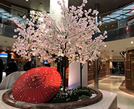 18 神戸港 マリタイム 株式会社ピースボート 船内 桜装飾 造花
