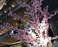 銀座4丁目 銀座木村家 桜装飾