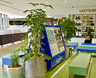 19 東京 後楽園 ドーム アミューズメント 施設 LaQua ラクーア 観葉植物 レンタル