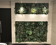 20 大阪 マンション ギャラリー 壁面 グリーン装飾 グリーン 室内空間 SEASONS