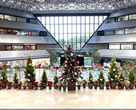20 大阪市内 商業施設 ツイン21 動物 クリスマス装飾　SEASONS