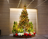 20 横浜 オフィス エントランス クリスマス 装飾 SEASONS