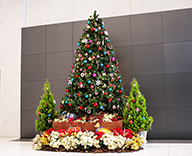 20 江東区 オフィス 菓子 クリスマス 装飾 SEASONS