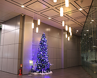 20 荻窪 オフィス エントランス クリスマス 装飾 SEASONS