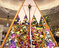20 丸井 クリスマス 装飾 ドライフラワー 水引 松 正月用 マイナー チェンジ