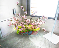 21 大阪 商業 施設 桜 造花 装飾 SEASONS