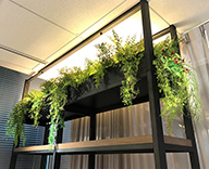 21 株式会社 日立物流 オフィス LOGISTEED CAFE フェイク グリーン 造花 装飾 SEASONS