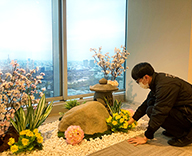 21 丸の内 オフィス 桜 造花 装飾 SEASONS