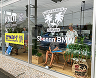 21 藤沢市 Shonan BMW ショールーム 観葉植物 装飾 hitotoki