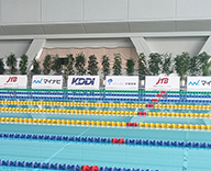 21 第89回 日本高等学校選手権水泳競技大会 観葉植物 SEASONS
