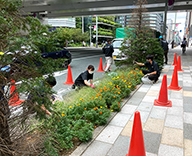 21 銀座 中央通り 花壇 メンテナンス Futa-toki