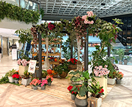 21 大阪市 商業施設 ツイン21 ハロウィン装飾 SEASONS