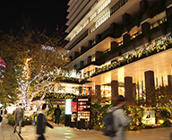 21 GINZA KAMON 京橋 東京スクエアガーデン イルミネーション クリスマスツリー