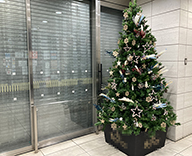 21 大阪市 商業施設 クリスマス 装飾 SEASONS