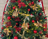21 神戸市 ホテルサンルートソプラ神戸 クリスマスツリー SEASONS