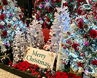 21 八重洲 信金中央金庫 エントランス クリスマス装飾 SEASONS