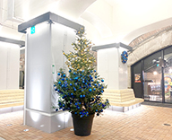21 JR東日本都市開発 日比谷OKUROJI クリスマス装飾 SEASONS