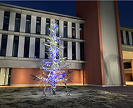 22 足立区 文教大学あだちキャンパス シンボルツリー セコイア 樹 イルミネーション 装飾 SEASONS
