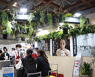 22 東京 ビックサイト ダイオーズジャパン 装飾 ベルティ １本 ラップ 観葉植物 草花 生花 造花 SEASONS