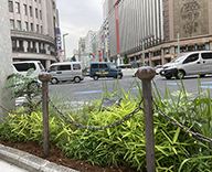 22 銀座 中央通り 花壇 メンテナンス Futa-toki