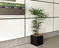 22 渋谷区 神宮前 東栄工業 観葉 植物 レンタル プリザ 定期 壁掛け 壁面 hitotoki