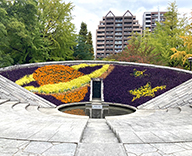 22 墨田区 都立横網町公園 東京空襲犠牲者を追悼し平和を祈念する碑 花壇 花 Futa-Toki