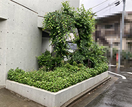 22 豊島区 個人宅 エントランス 植栽 改修 工事 Futa-Toki