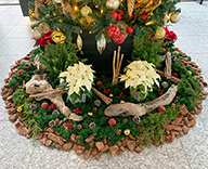 22 銀座 京橋 東京 スクエアガーデン オフィスエントランス GINZA KAMON クリスマスツリー SEASONS 事例