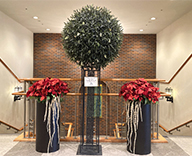 22 尼崎 ホテルヴィスキオ イルミネーション 館内 クリスマス SEASONS 事例