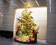 22 横浜 オフィス ビル エントランス クリスマス ツリー 設置 暖かみ モミの木 RED GOLD 基調 オーナメント イルミネーション 輝き 上品 スタイリッシュ 華やか 彩り SEASONS 事例