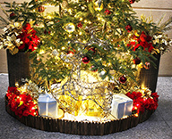 22 横浜 オフィス ビル エントランス クリスマス ツリー 設置 暖かみ モミの木 RED GOLD 基調 オーナメント イルミネーション 輝き 上品 スタイリッシュ 華やか 彩り SEASONS 事例