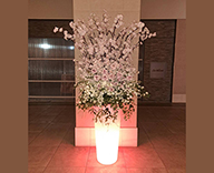 23 大阪 商業施設 桜の活け込み 造花 装飾 SEASONS 事例