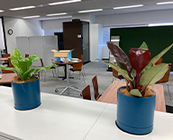 23 目黒 オフィス 観葉 植物 レンタル hitotoki 参照