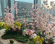 23 丸の内 オフィス エントランス 春 装飾 生木 桜 造花 hitotoki 事例