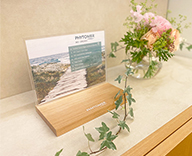 23 日本橋 PHYTOMER フィトメール 新製品 生花 装飾 春の花 SEASONS 事例