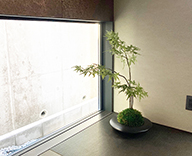 23 神戸市内 モデルルーム フェイク グリーン アートフラワー アレンジ 造花 SEASONS 事例