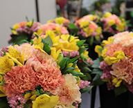 23 辰巳 東京アクアティクスセンター 観葉スポットレンタル 生花装飾 カーネーション SEASONS 事例